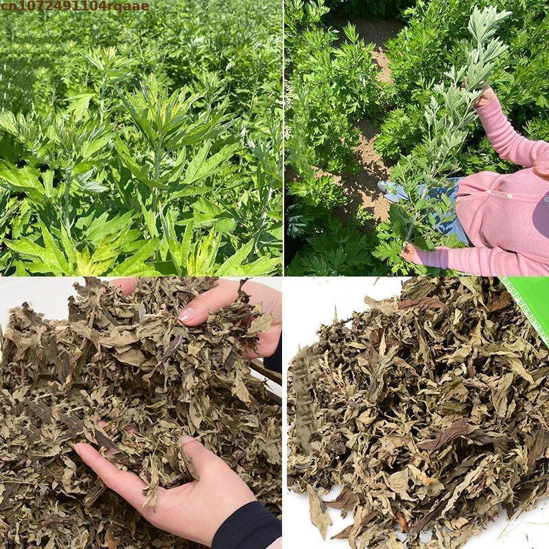 100% Natural Dried Ay Tsao Lea - đánh giá và giá Chamomile Tea