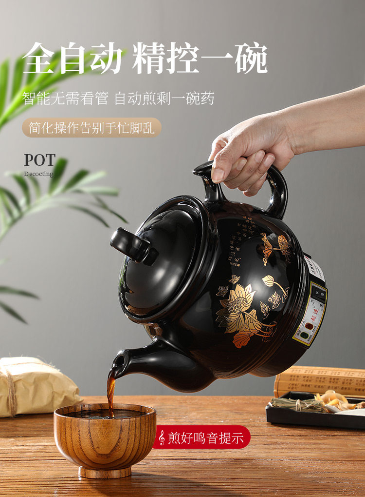 220V Automatic Herbal Tea Pot  - đánh giá và giá Herbal Tea